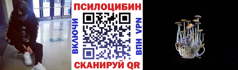 Галлюциногенные грибы прущие грибы  где найти   darknet клад  Магадан 